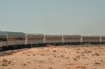 Grand Canyon Railway traveling to the Canyon